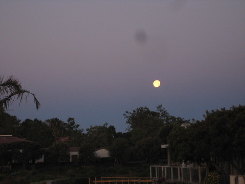 morning moon set