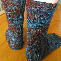 Lacunae Socks