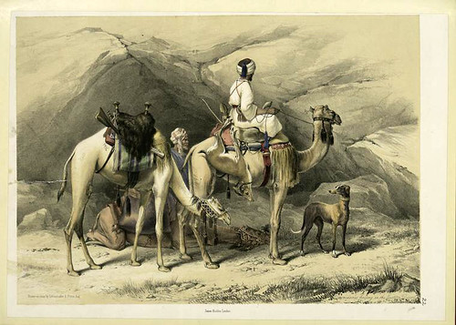 Una parada con los dromedarios en el desierto del Este 1851