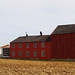 Amish Sheds and Barns