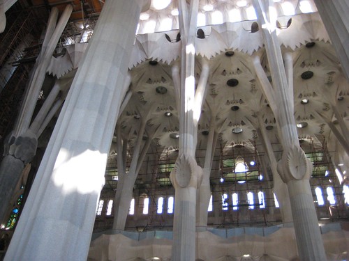 Forest of Sagrada Familia
