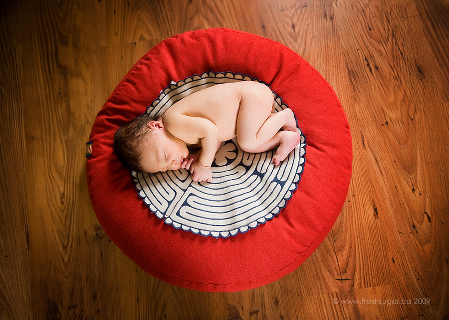 newborn photography in calgary