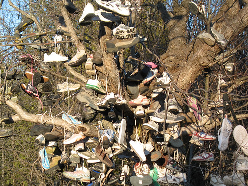 Beaverton Shoe Tree (2)