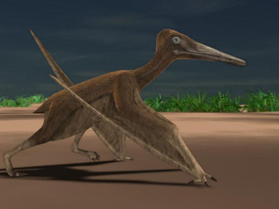 Pterosaur Reconstruction