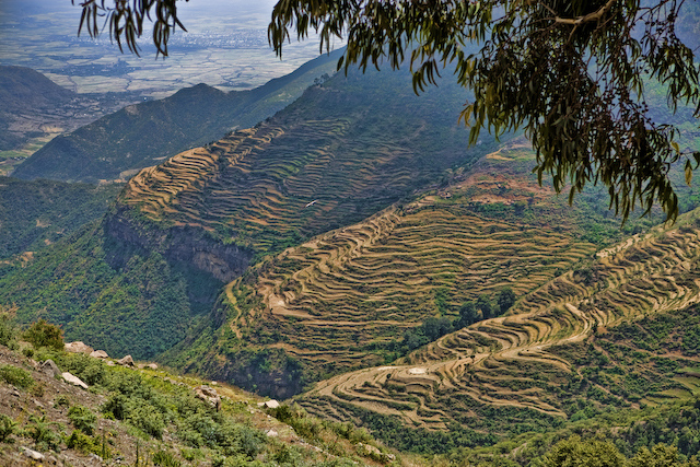 TRES DIAS DE RUTA HACIA MEKELE - Etiopia, Tierra Virgen (4)