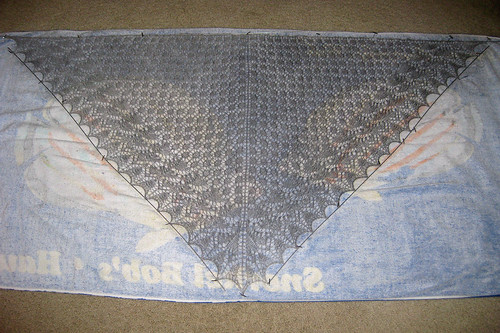 Swallowtail lace shawl blocked