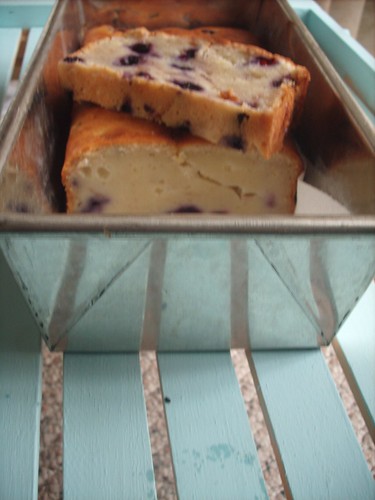 Blueberry Loaf on Rack