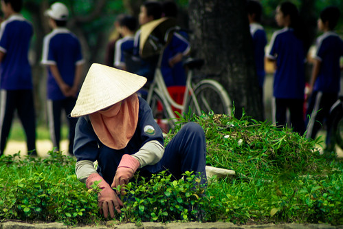 Cleaner of the imperial city of Hue, Vietnam