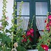 Windows-flowers by Erik Christensen, Porkeri