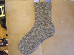 Gillyweed Socks
