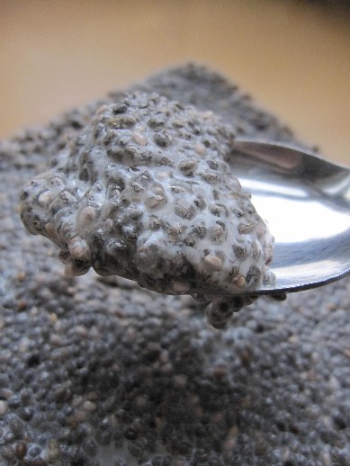 Spoonful of chia seed pudding