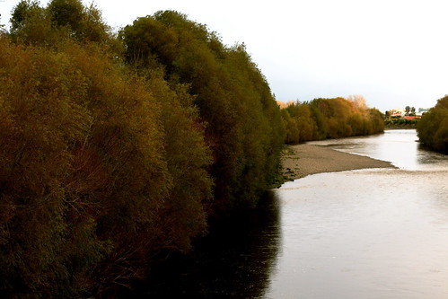 Saturday: The Hutt River in Autumn
