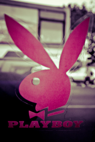 Project 365- Playboy (75/365)