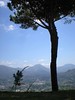 View near Monte Cassino
