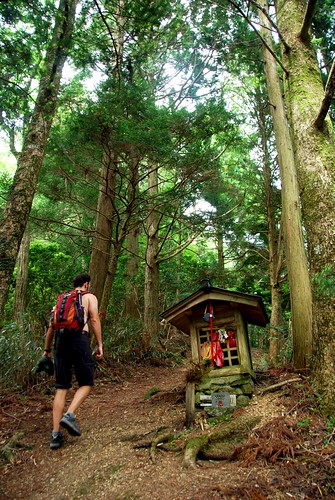 hiking the women pilgrims' route, koya-san