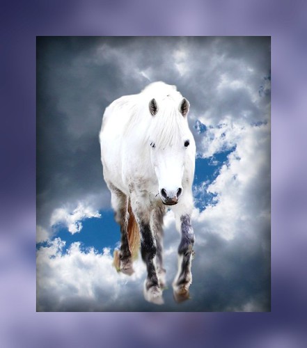 horse and sky