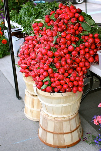ontario-radishes