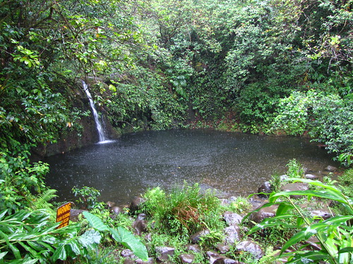 Haipua'ena Falls Waterfall, Road to Hana
