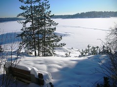 Snowy Winter Day in Norway #9