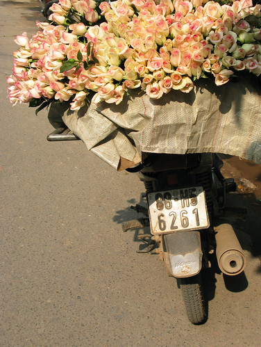 Pink flowers on a moto, Hanoi, Vietnam