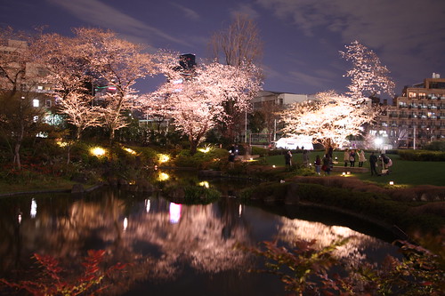 Sakura - Night shot of RoppongiHills, 05