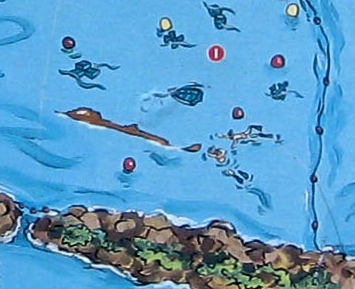 Castaway Cay Nautilis