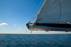 162/365 sailing