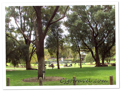 Kings Park, Perth