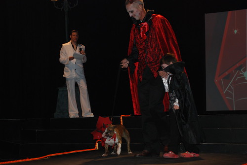 Vampire, Devil & Hell Dog