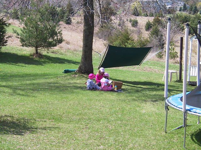 pink hat picnic