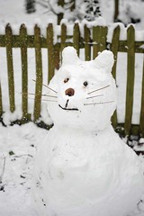 Snow Cat von David Tett