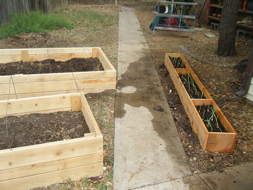 Raised Beds (Design your own!)