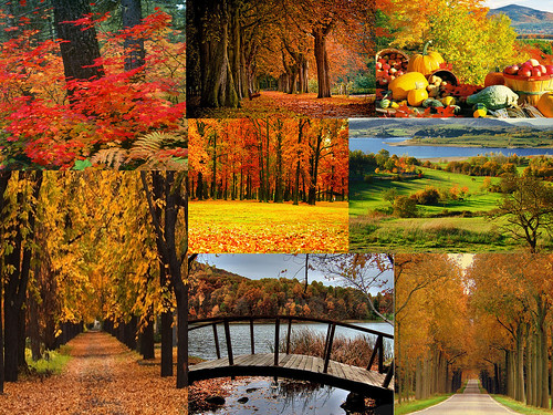 autumn desktop wallpapers. Autumn Desktop Wallpaper. Click the photo and then #39;All Sizes#39; at the top
