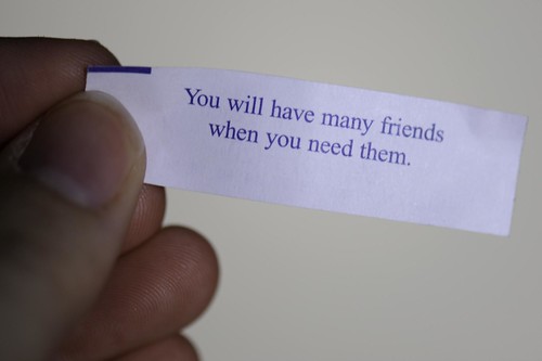 256/365: "you will have many friends when you need them"