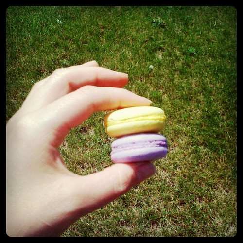 macarons from Erica
