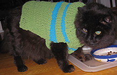 "I hate having to model dog sweaters!"