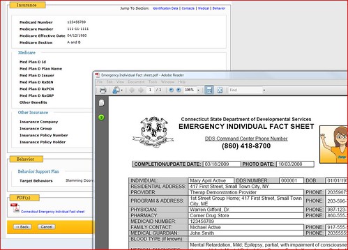 Screenshot of PDF form.