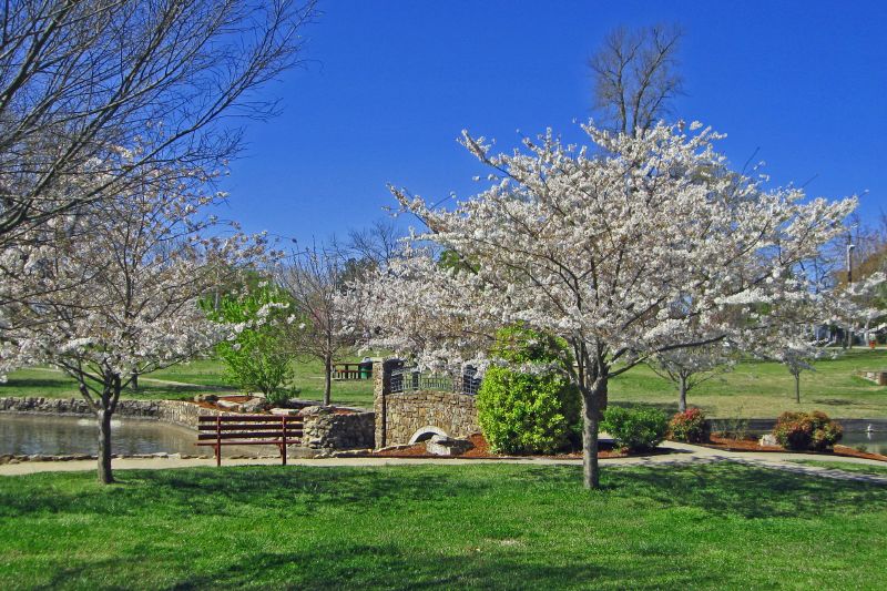 Janssen Park In Spring