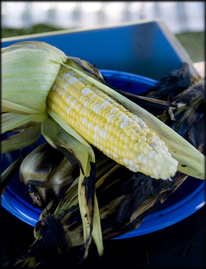 corn-on-cob-camping-recipe