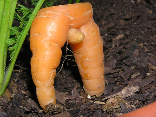 sexy_carrot2
