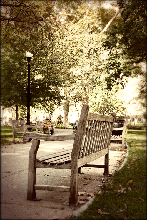 city-park-bench