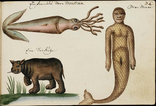 mermaid, squid and toothed cat