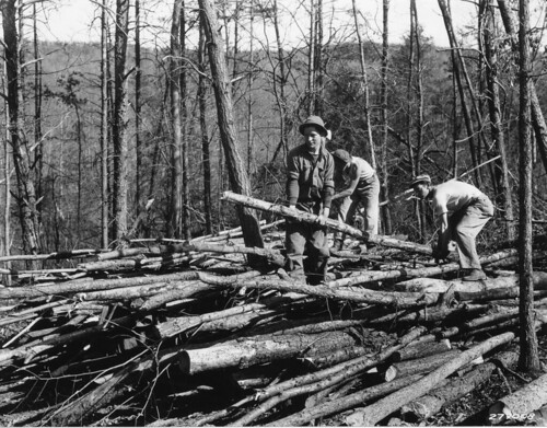 Piling up poles, Camp Roosevelt, George Washington National Forest, Virginia