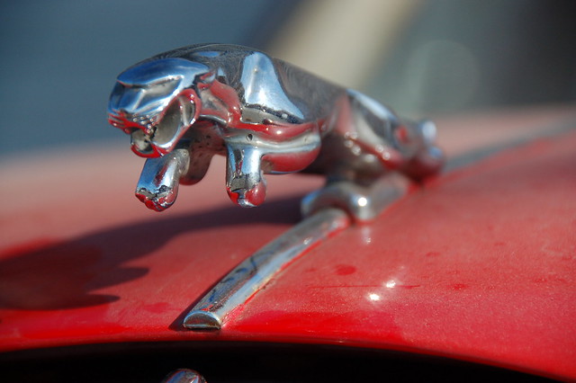 Red Jaguar Mark 1 Chrome quotpouncing Jaguarquot statuette on front of the hood by Chris Devers