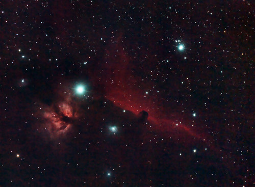 horsehead nebula. Horsehead nebula in Orion