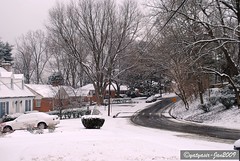 2009 Winter 013 - Our neighborhood