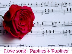 Images Papilles et Pupilles - Love song