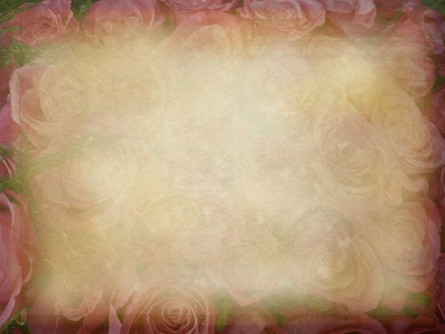 bed of roses- free texture