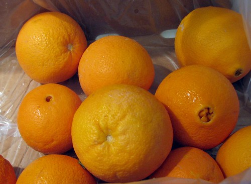Valenica Oranges CSA Box 1