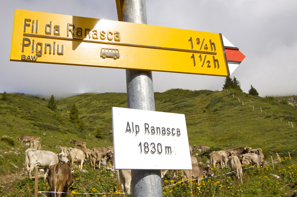 : Bergwelt auf der Alp Ranasca 
